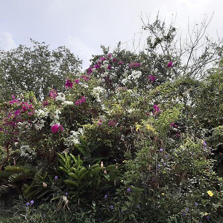 شقة Chez Rosy لو روبرت المظهر الخارجي الصورة
